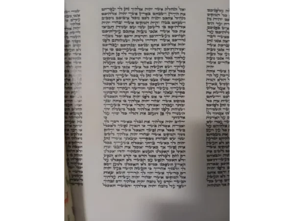 דף מתוך ספר תורה בכתב בית יוסף – קלף מהודר