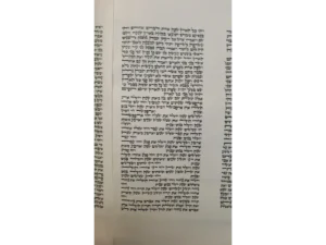 ספר תורה בכתב בית יוסף – דף כתוב בכתב סת"ם