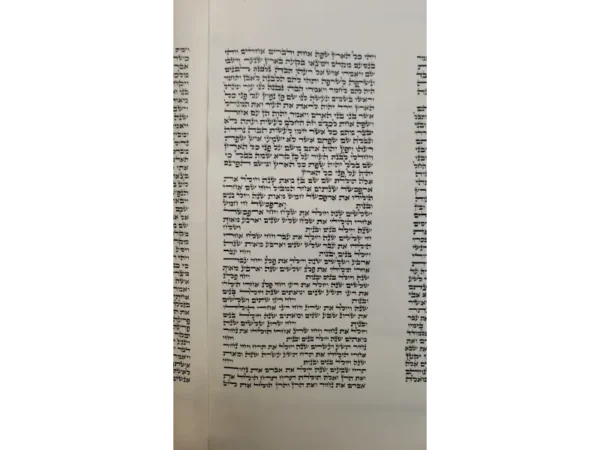 ספר תורה בכתב בית יוסף – דף כתוב בכתב סת"ם