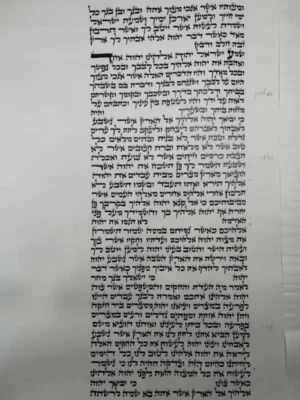ספר תורה מהודר כתב ב"י– צילום קלף מהודר