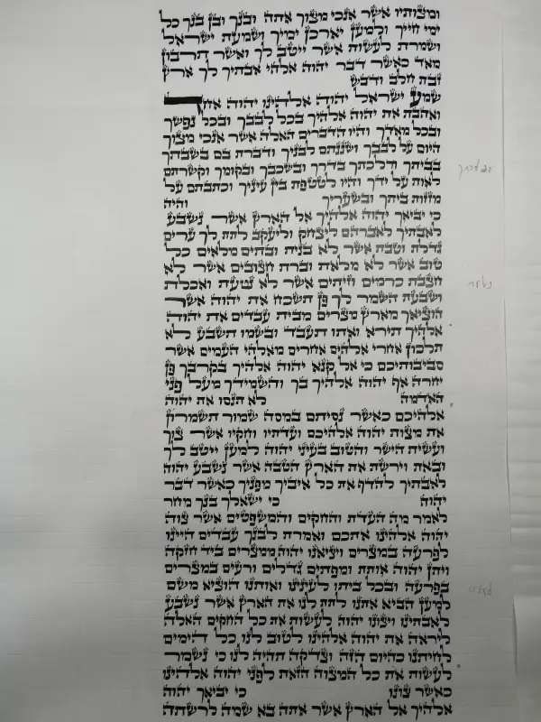 ספר תורה מהודר כתב ב"י– צילום קלף מהודר