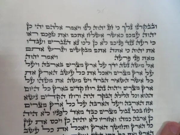 ספר תורה כשר – צילום כתב סת"ם מקצועי