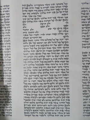 ספר תורה כשר – צילום כתב סת"ם מקצועי