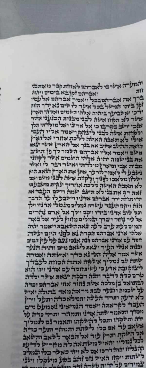 ⁦ספר תורה מהודר -נוסח אשכנזי כתב ב"י⁩ – תמונה ⁦2⁩