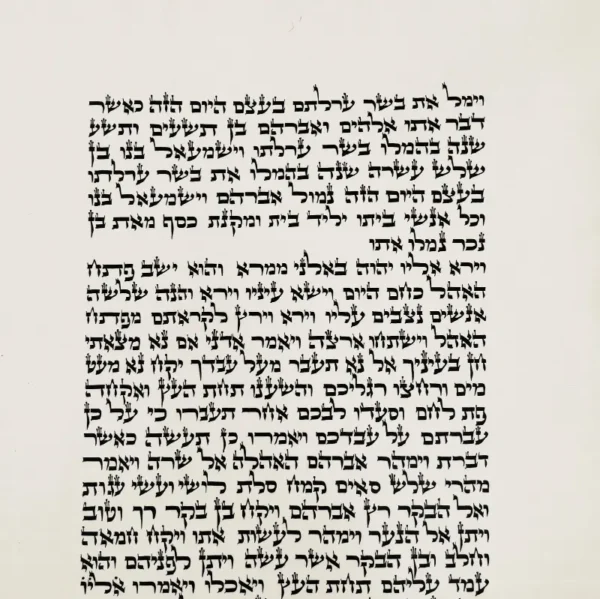 ספר תורה מהודר כתב ב"י– צילום כתב סת"ם מקצועי