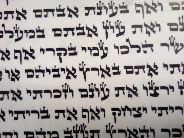 ספר תורה מהודר כתב ב"י– צילום כתב סת"ם מקצועי